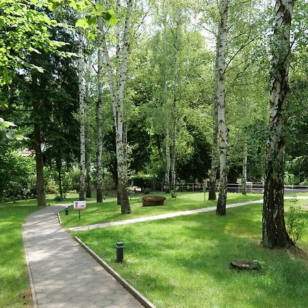 Penzion Harmony Javornik Ctyrkoly ภายนอก รูปภาพ