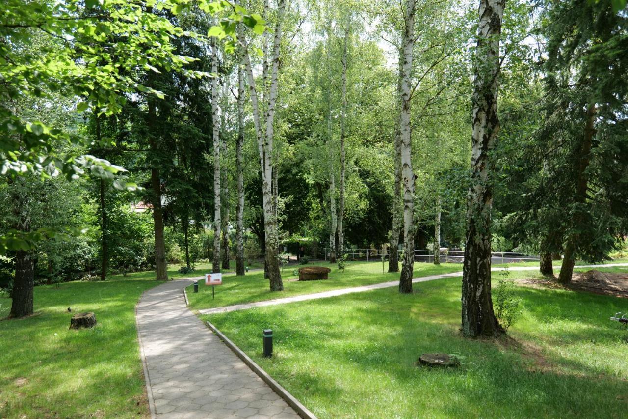 Penzion Harmony Javornik Ctyrkoly ภายนอก รูปภาพ